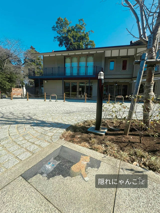 【千葉】絶対に行ってほしい!!桜だらけのかわいすぎる神社🌸今話題のレースお守りも🤍
