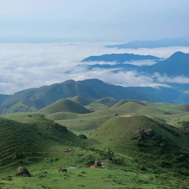 「惣岳山，攀登雲霧中的嚮望」