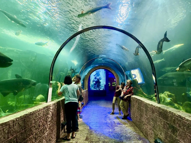 Sisaket Aquarium