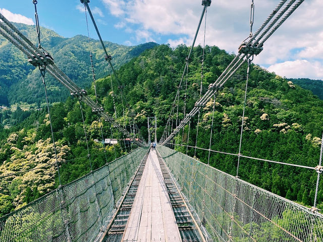 Tanize(Tanise) Suspension Bridge