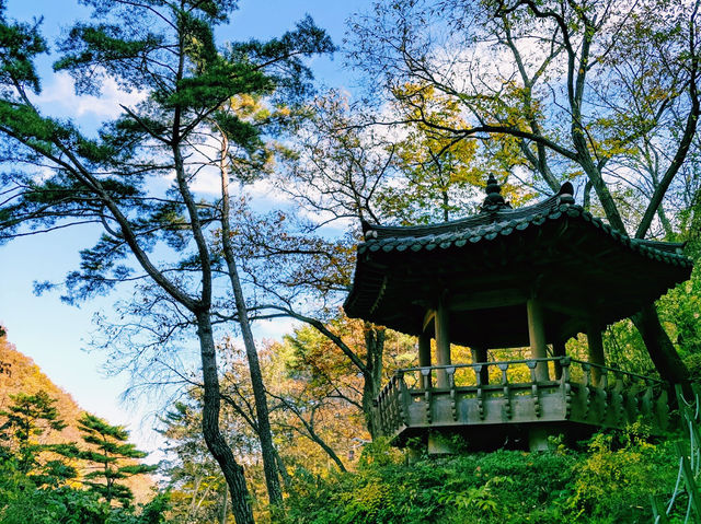 The Okgye Falls 옥계폭포