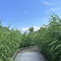 【茨城】土浦旅行で美味しいグルメ発見♪