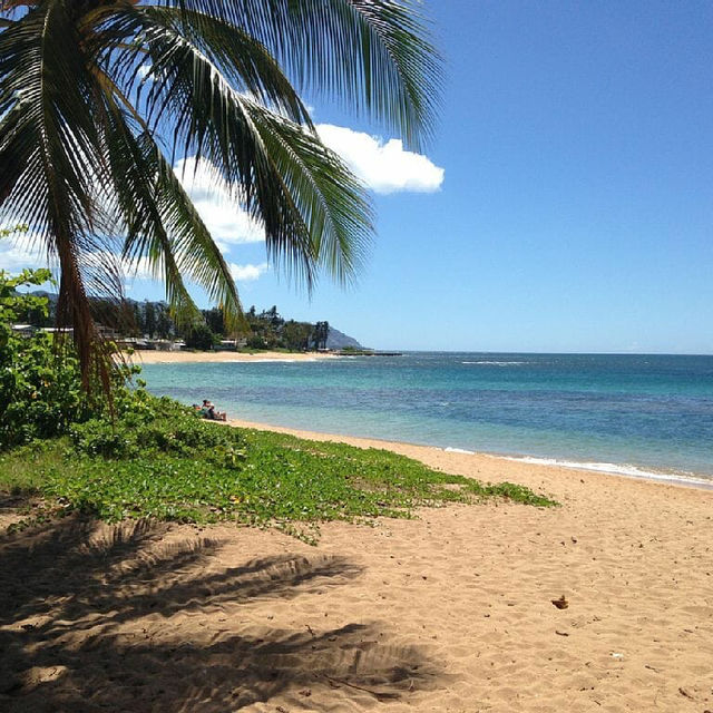 【ハワイ】ホノルルとは違った美しさのビーチ⛱️