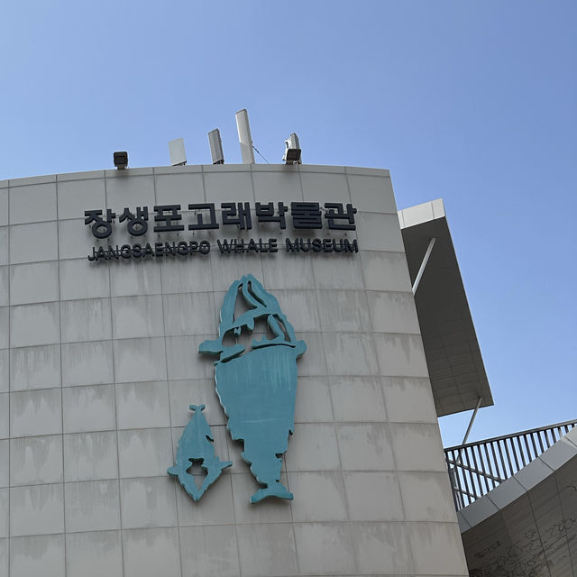 Whale Wonders Await at Jangsaengpo!