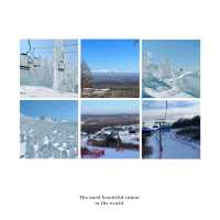 北海道札幌滑雪場：亞洲最頂尖滑雪勝地，北國雪地之美