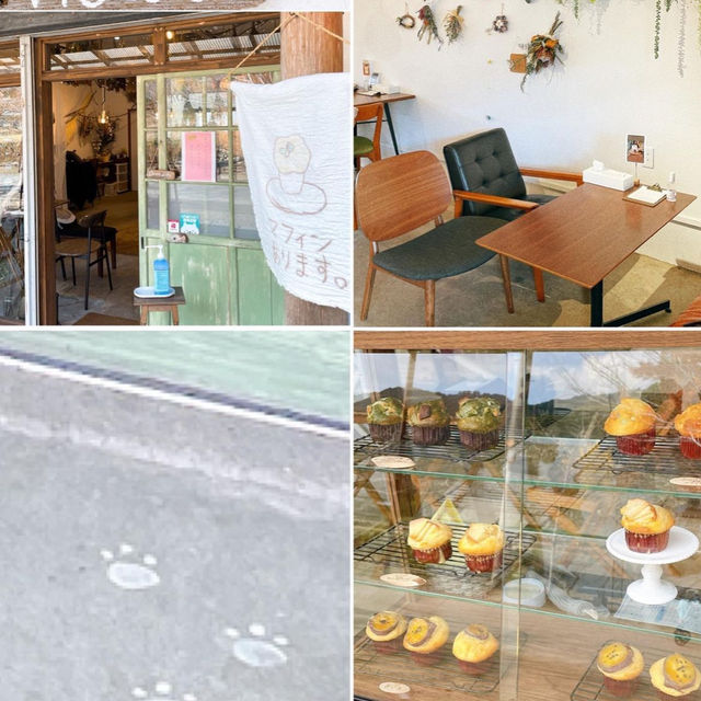 【福岡カフェ】スタジオを兼ね備える可愛らしいカフェ