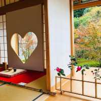 【京都観光】猪目(ハート)の窓からの景色が素敵
