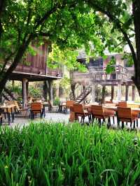 Romantic Dining In the Paddy Fields 