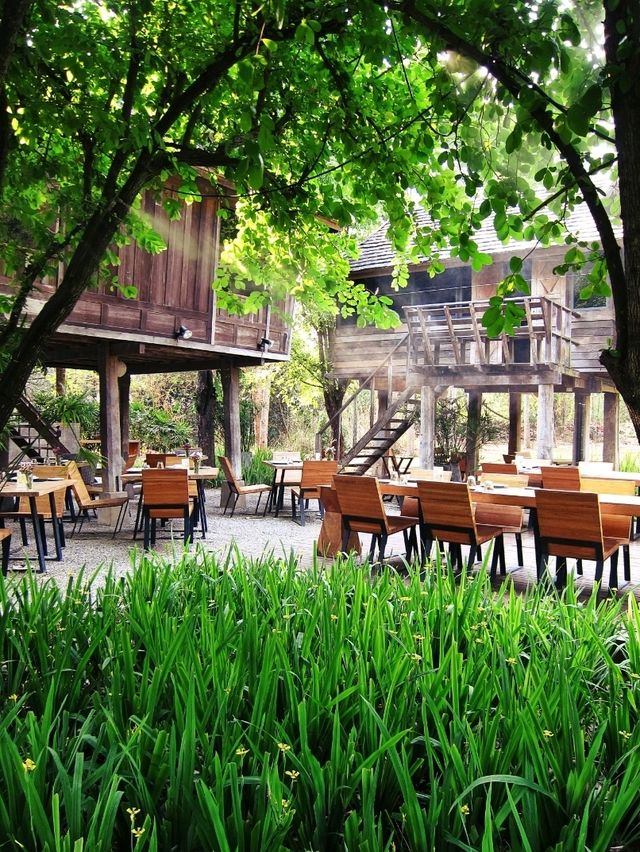 Romantic Dining In the Paddy Fields 
