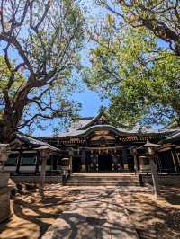 日本東京-早稻田周邊半日遊：村上春樹圖書館