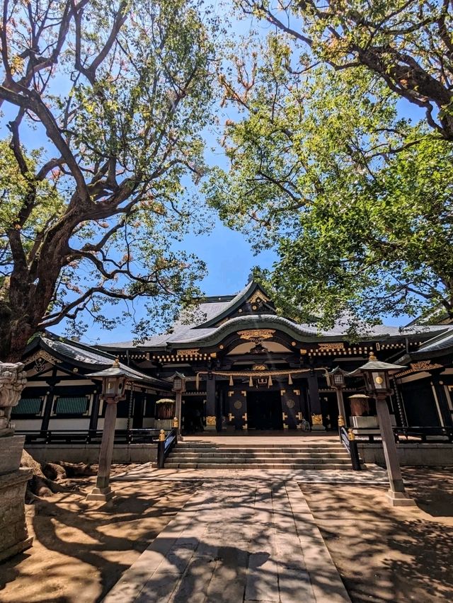 日本東京-早稻田周邊半日遊：村上春樹圖書館