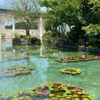 【高雄中央公園】休閒娛樂好去處