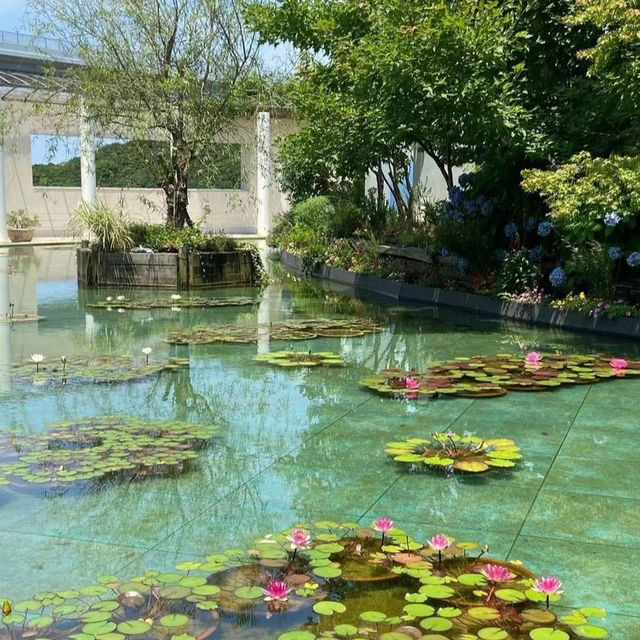 【高雄中央公園】休閒娛樂好去處