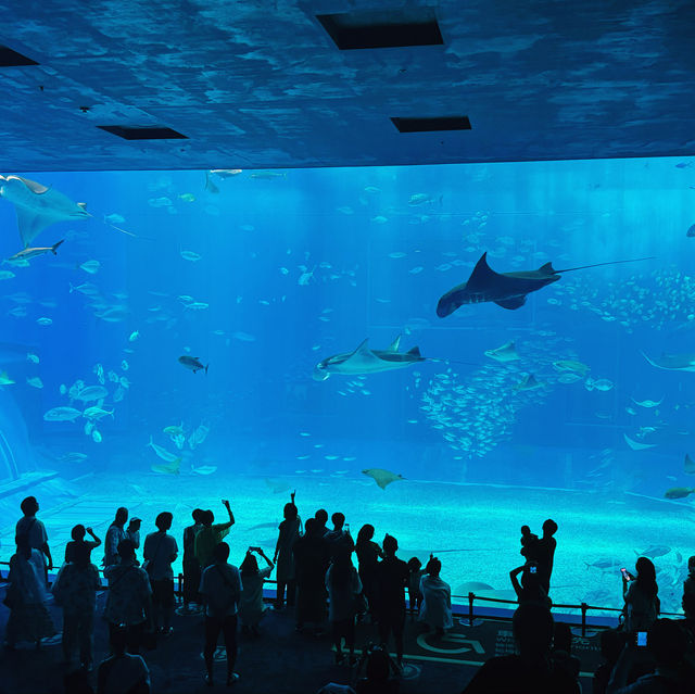 Okinawa Churaumi Aquarium