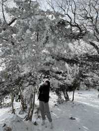 제주도 겨울 필수코스 ‘1100고지’❄️