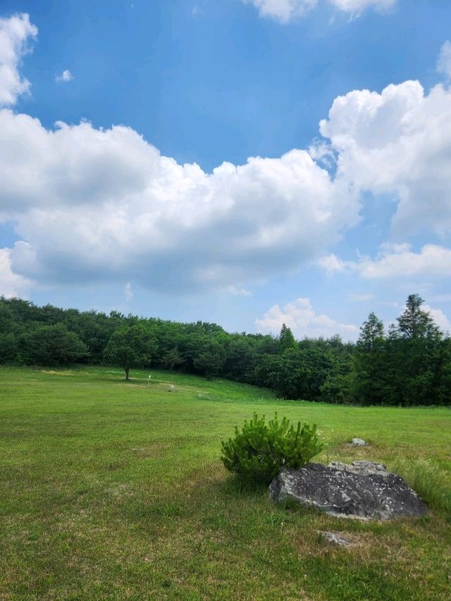 🤍데이트하며 사진 한가득 남기기 좋은 "경주 화랑의언덕"🤍
