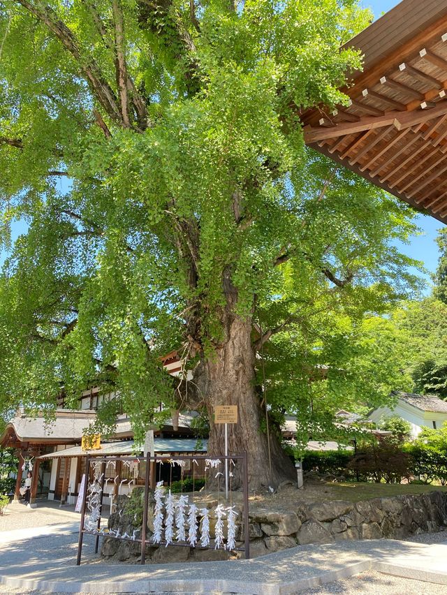 【岡山】吉備津神社　国宝〈本殿•拝殿〉