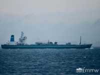 Umihotaru 🌊 ウミホタル
