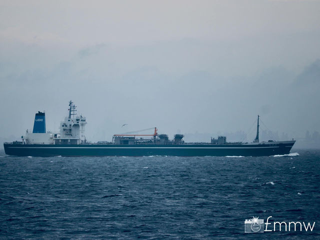 Umihotaru 🌊 ウミホタル