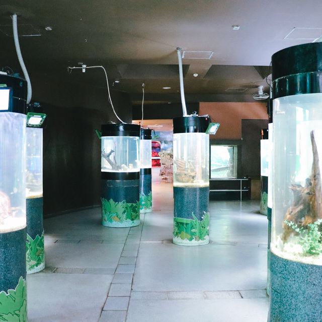 สถานแสดงพันธุ์สัตว์น้ำภูเก็ต