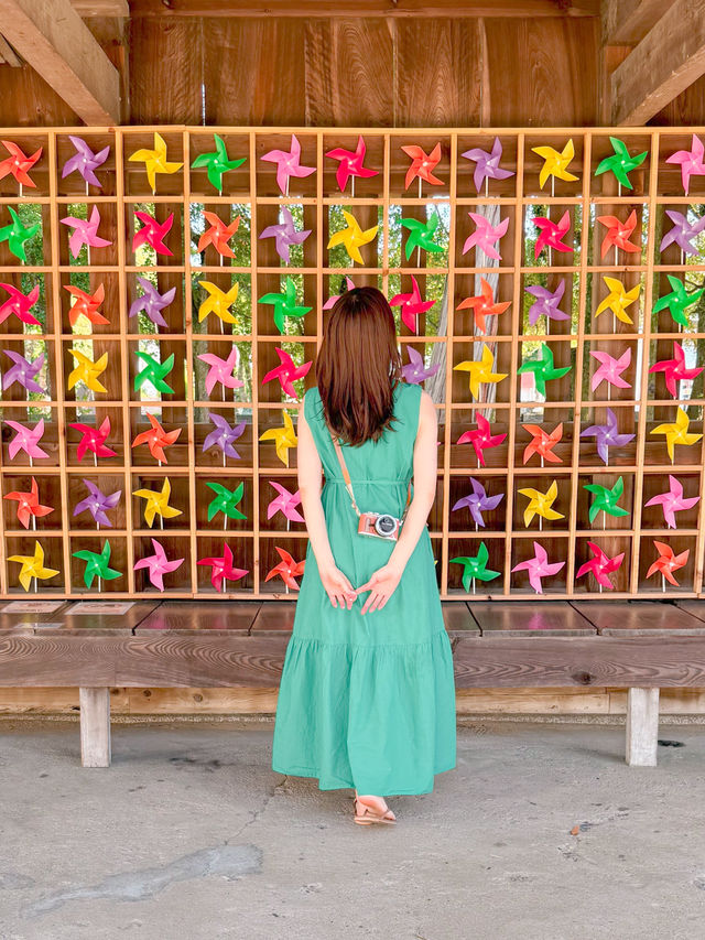 【香川】絶対行きたい！映える神社⛩️🎐💕 