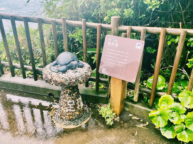 The Cape Ashizuri