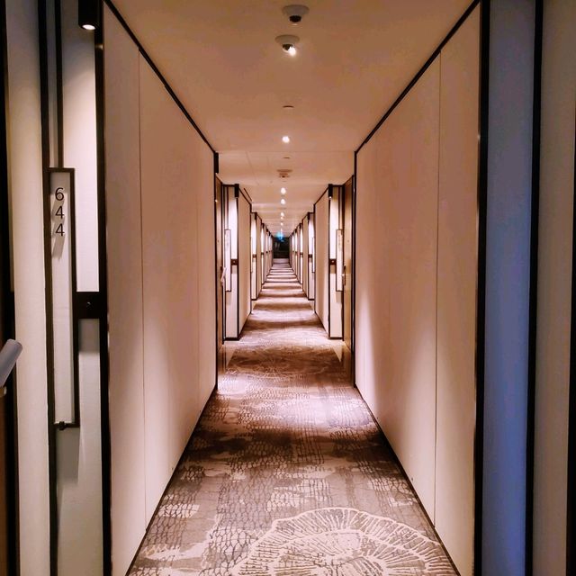 東涌同一地點有兩間喜來登