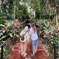 The hauntingly lovely Sandakan Memorial Park