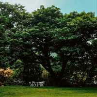 🌳คาเฟ่ในสวน บรรยากาศดี @กาญจนบุรี
