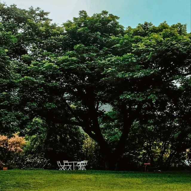 🌳คาเฟ่ในสวน บรรยากาศดี @กาญจนบุรี