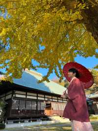 〜神奈川県〜鎌倉の穴場スポット浄明寺