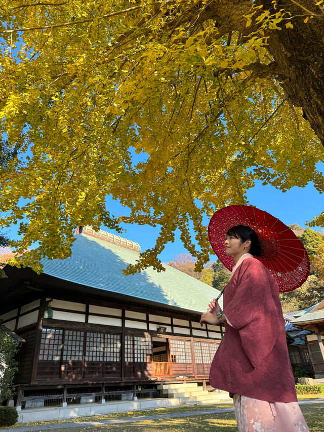 〜神奈川県〜鎌倉の穴場スポット浄明寺