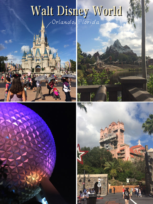 Endless Fun at Walt Disney World in Orlando, Florida 🇺🇸