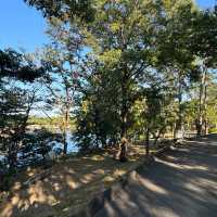 【兵庫県 加東市】とにかく自然に触れられる公園！