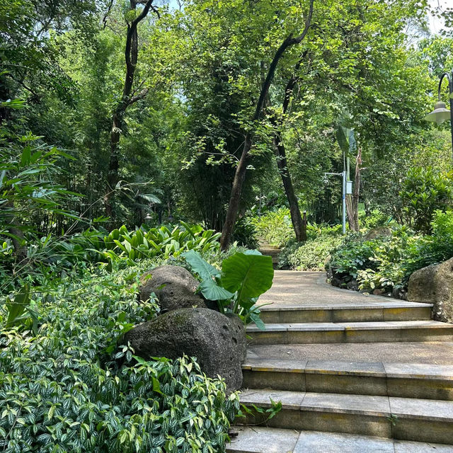 湖南省植物園：綠意盎然