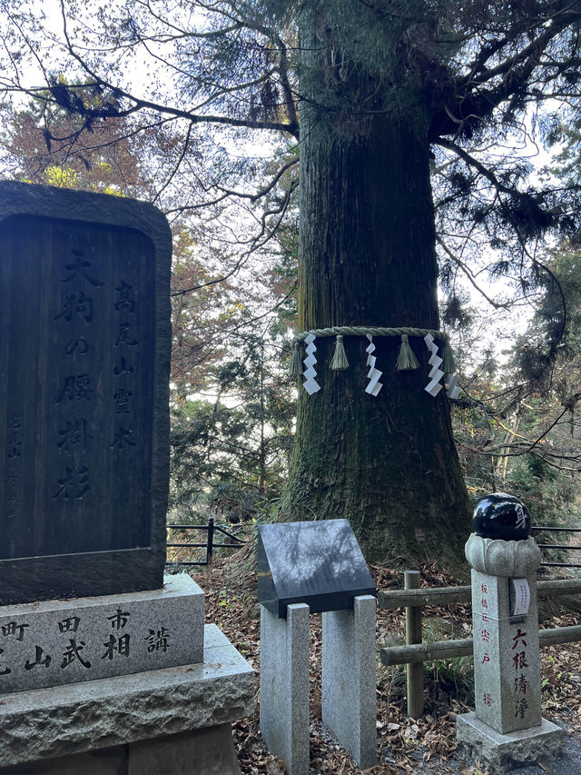 東京｜高尾山一日遊散策