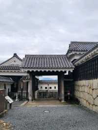 🏯마쓰야마 시내가 한눈에 보이는 마쓰야마 성🏯