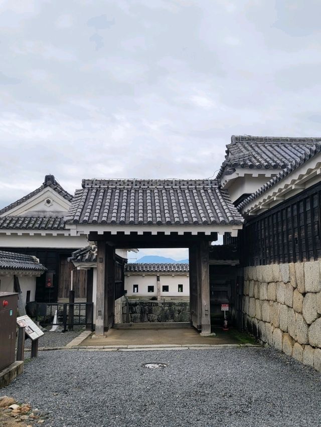 🏯마쓰야마 시내가 한눈에 보이는 마쓰야마 성🏯