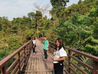 เดินป่าเบาๆ ในอุทยานแห่งชาติเขาใหญ่