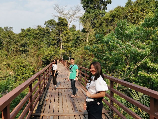 เดินป่าเบาๆ ในอุทยานแห่งชาติเขาใหญ่