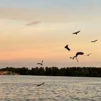 Hidden Charms of Perak and Kuala Sepetang