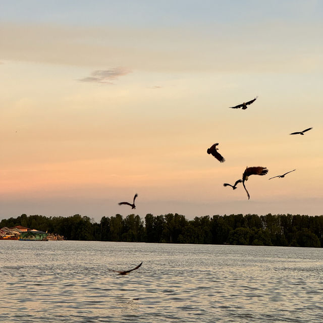 Hidden Charms of Perak and Kuala Sepetang