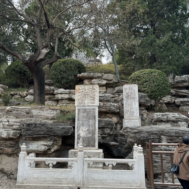 【北京】故宮後山景山公園：可俯瞰故宮，限時優惠！【2024年8月】