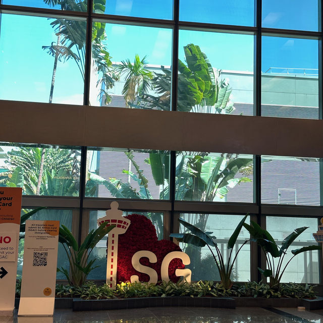 シンガポール旅行🇸🇬世界最高の空港！
