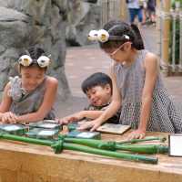 ดูแพนด้าที่ Ocean Park Hongkong 