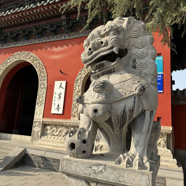 Springtime Encounter at Anyang's Historic Tianning Temple