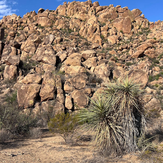 Where the Mountains Meet the Sky – Discover Big Bend’s Untamed Beauty