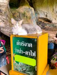 นั่งรถไฟไปถ้ำกระแซ