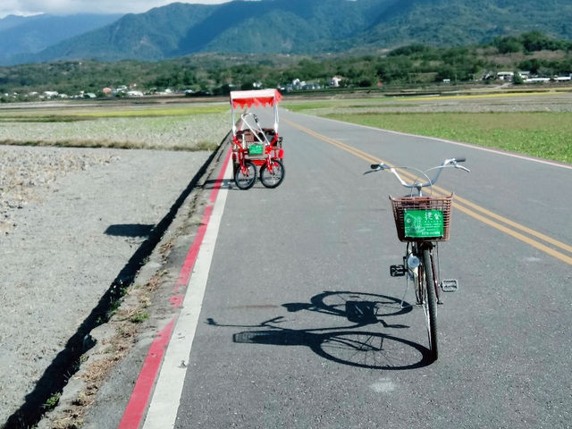 單車遊池上伯朗大道：絕美景色