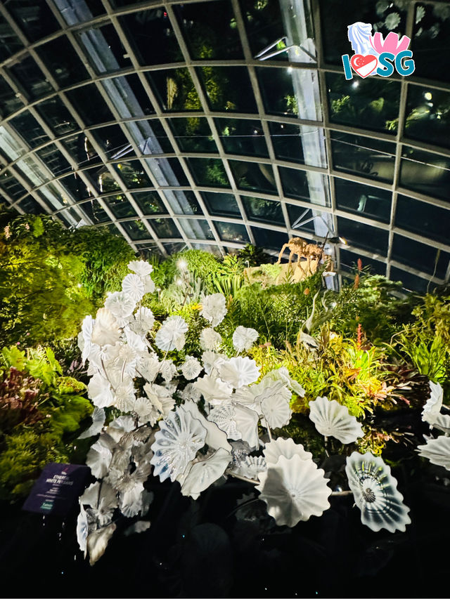 🇸🇬 Digitally Flower Bloom at The Hidden Forest